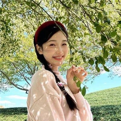 追夫四人行海报
